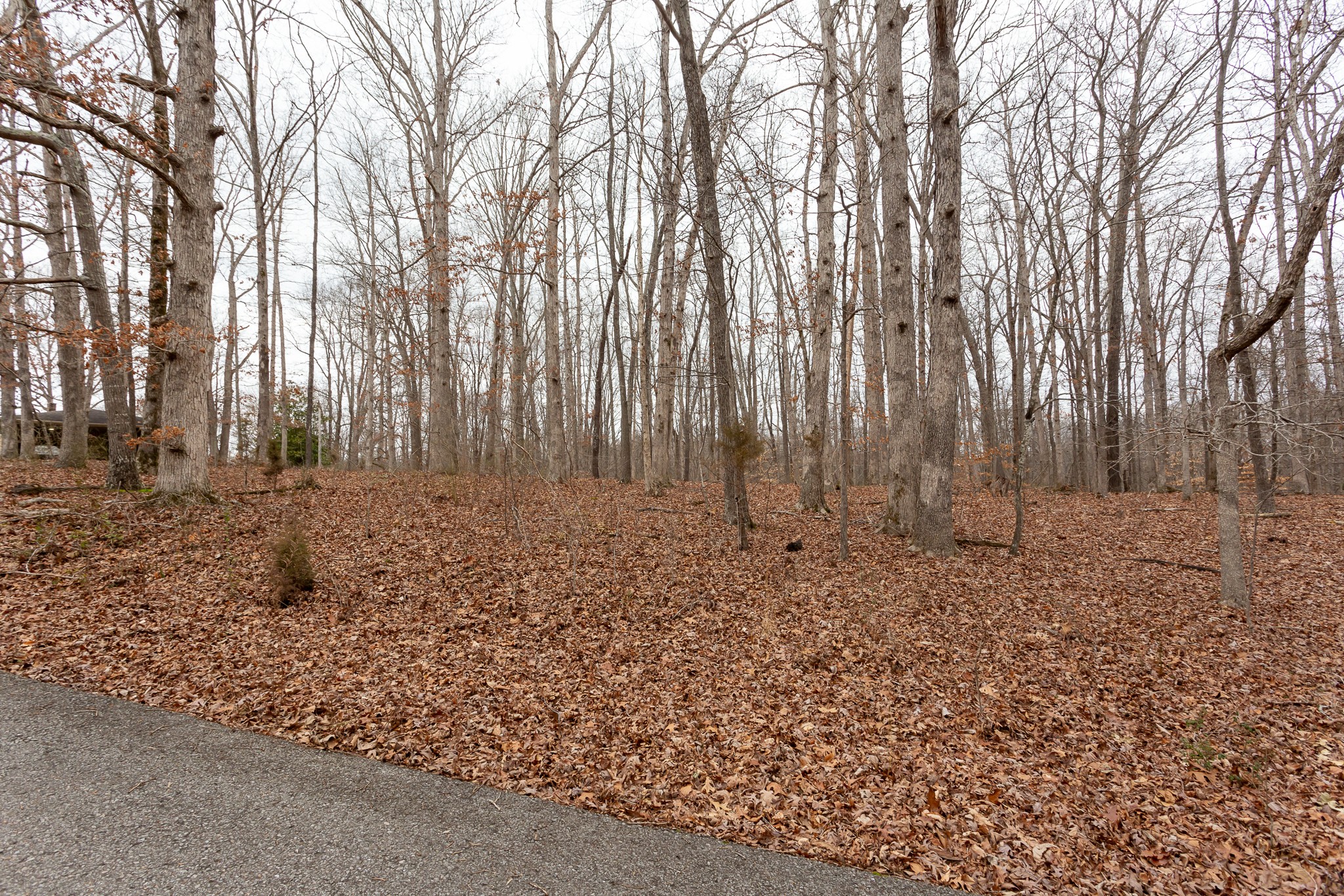 133 Byrd Road Dover, TN 37058 - Photo 32 of 35 a view of outdoor space with wooden fence