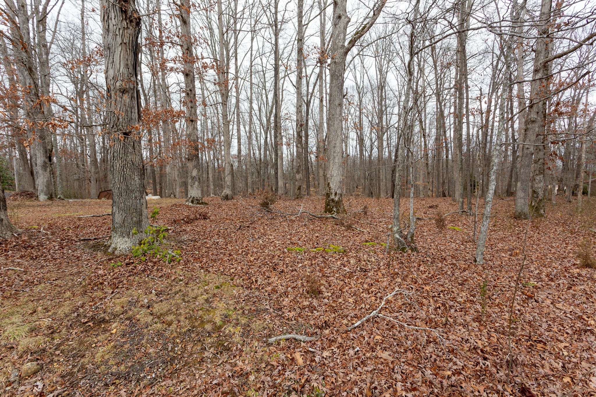 133 Byrd Road Dover, TN 37058 - Photo 33 of 35 a view of outdoor space with wooden fence