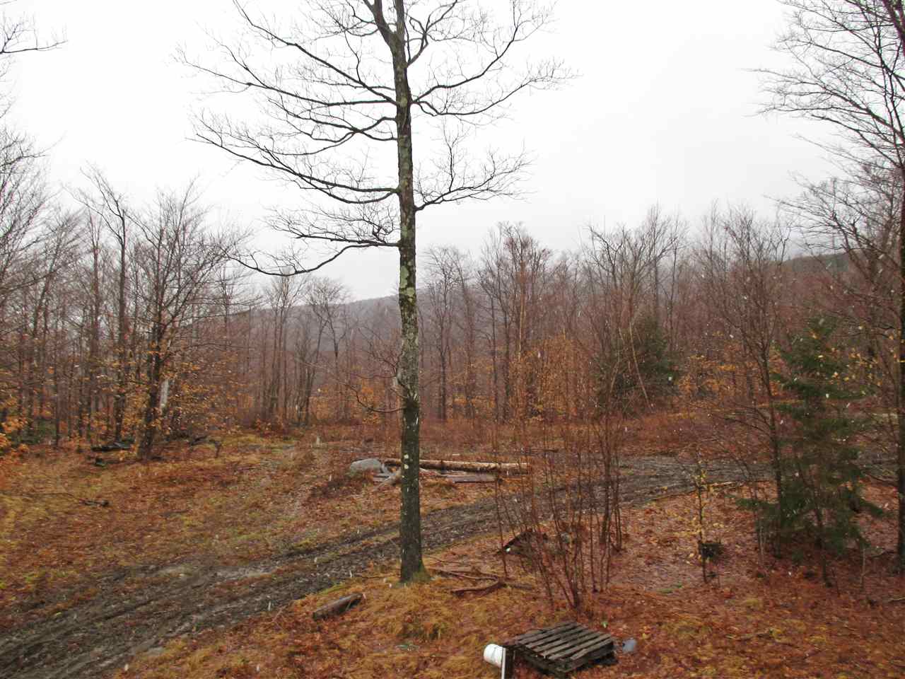 0 Rushford Valley Road Montgomery Center, VT 05471 - Photo 3 of 3