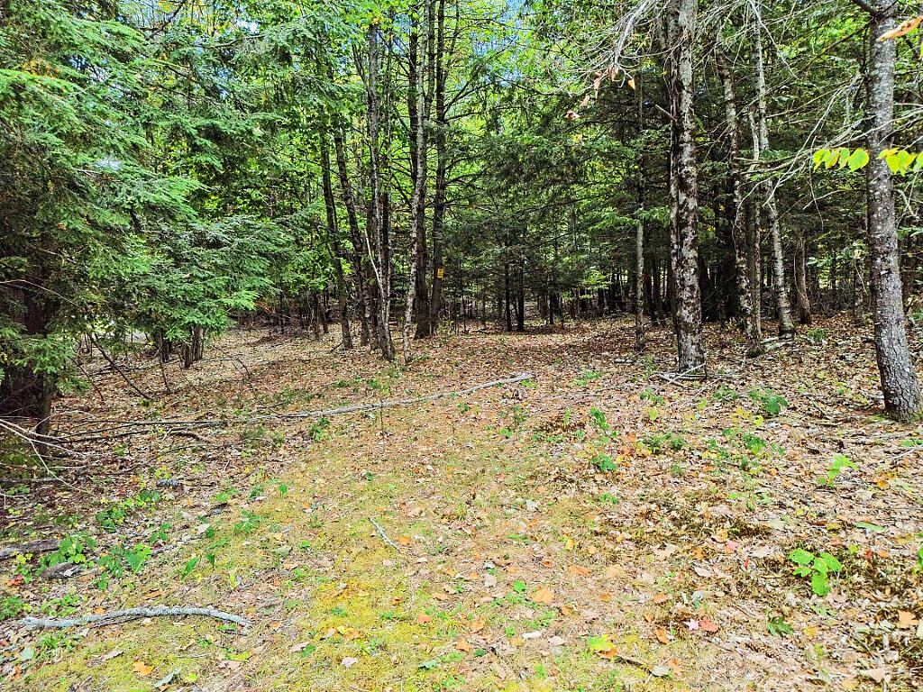154 Nowell Road Winslow, ME 04901 - Photo 24 of 35 34_DJI_0688_DxO_mls