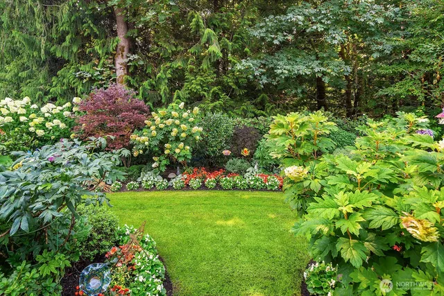 a view of a garden with plants and large trees