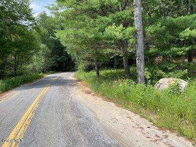 623 Johnson Pond Road North Hudson, NY 12855 - Photo 6 of 10 road