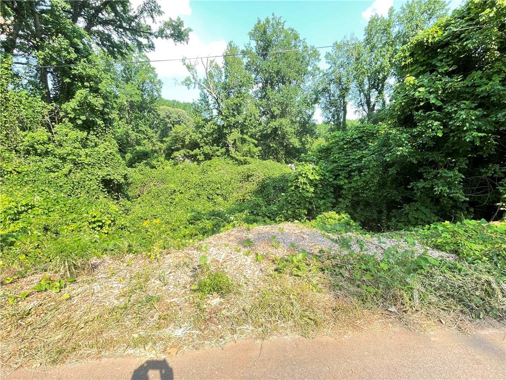 1247 Beechview Drive Southeast Atlanta, GA 30316 - Photo 3 of 3