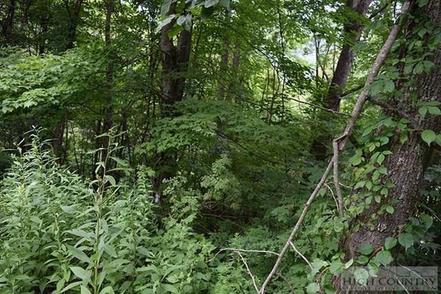 Lot 2 George Wilson Road Boone, NC 28607 - Photo 6 of 12 Gallery Image 6