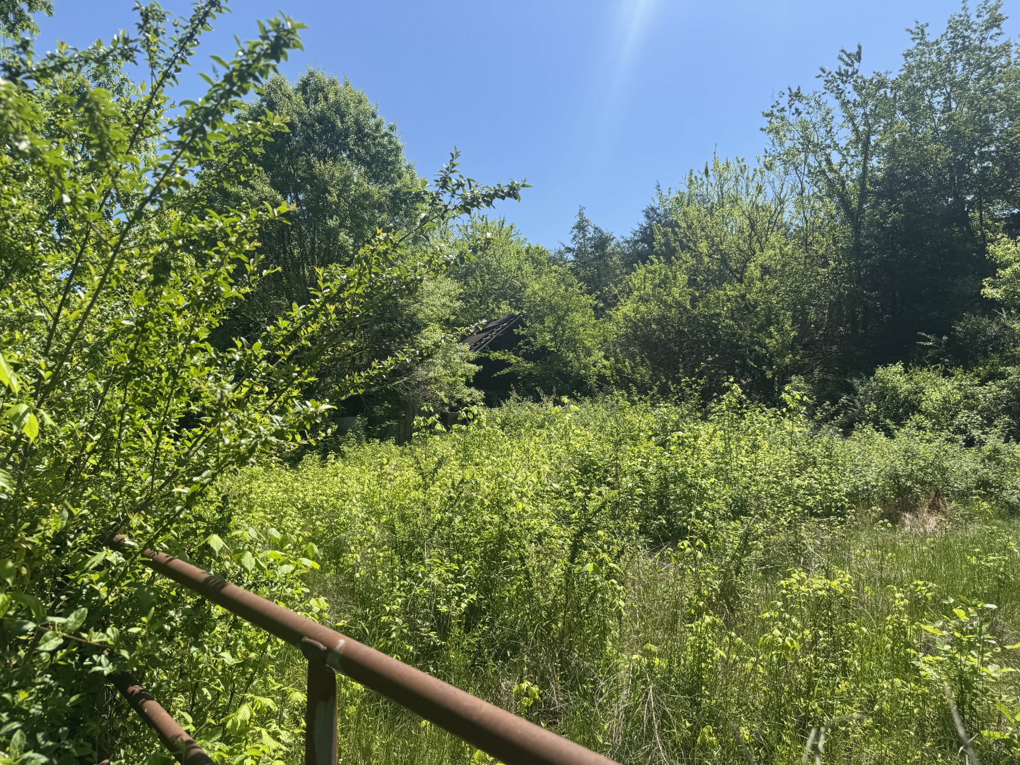 197 Blue Smith Road Petersburg, TN 37144 - Photo 26 of 29 a view of a forest from a window