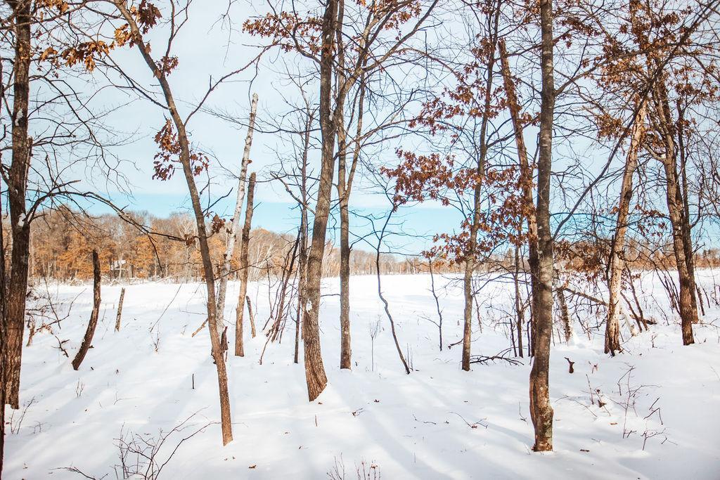 14936 Welton Road Baxter, MN 56425 - Photo 11 of 46