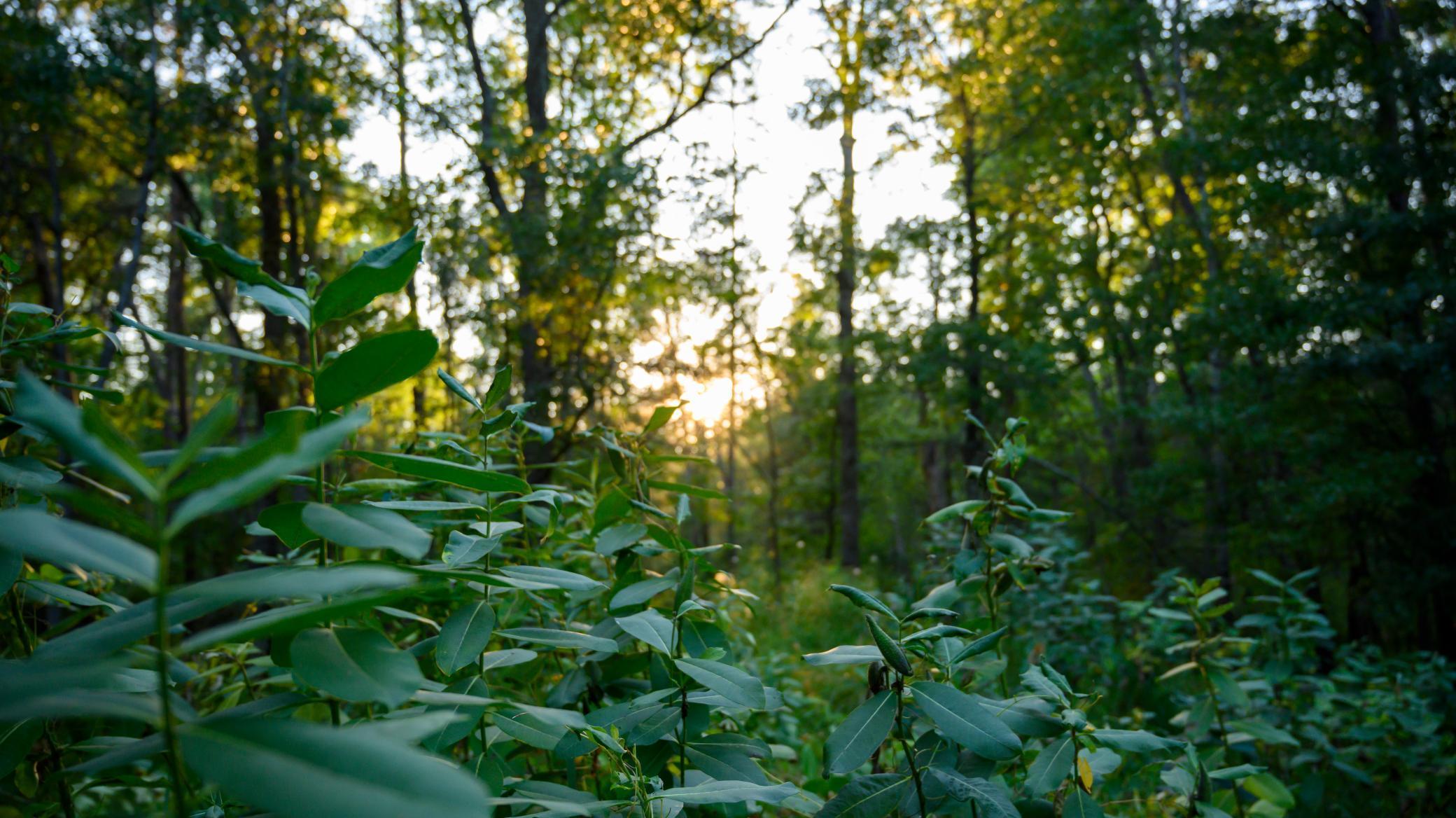 14936 Welton Road Baxter, MN 56425 - Photo 42 of 46