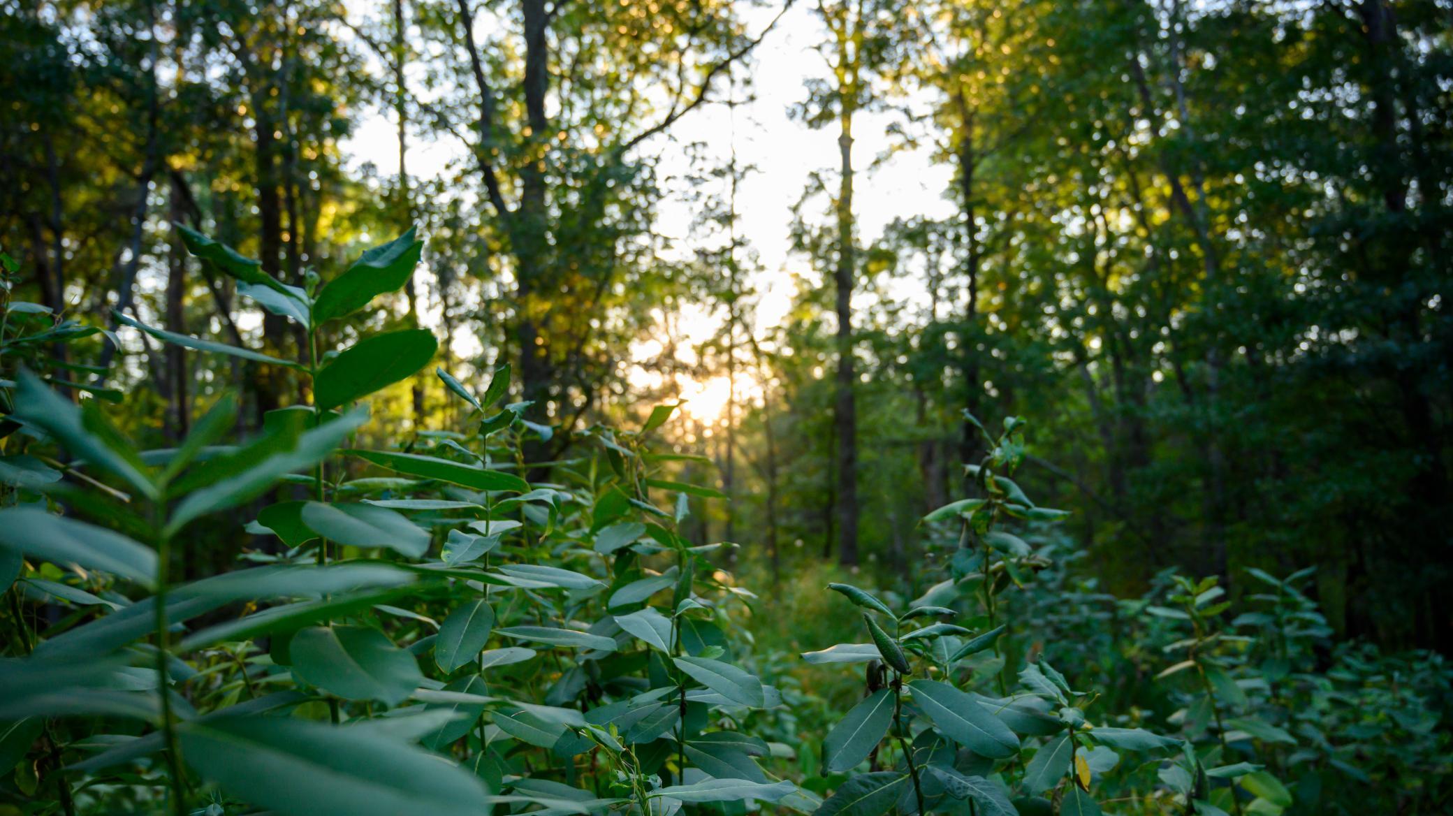 14936 Welton Road Baxter, MN 56425 - Photo 42 of 46