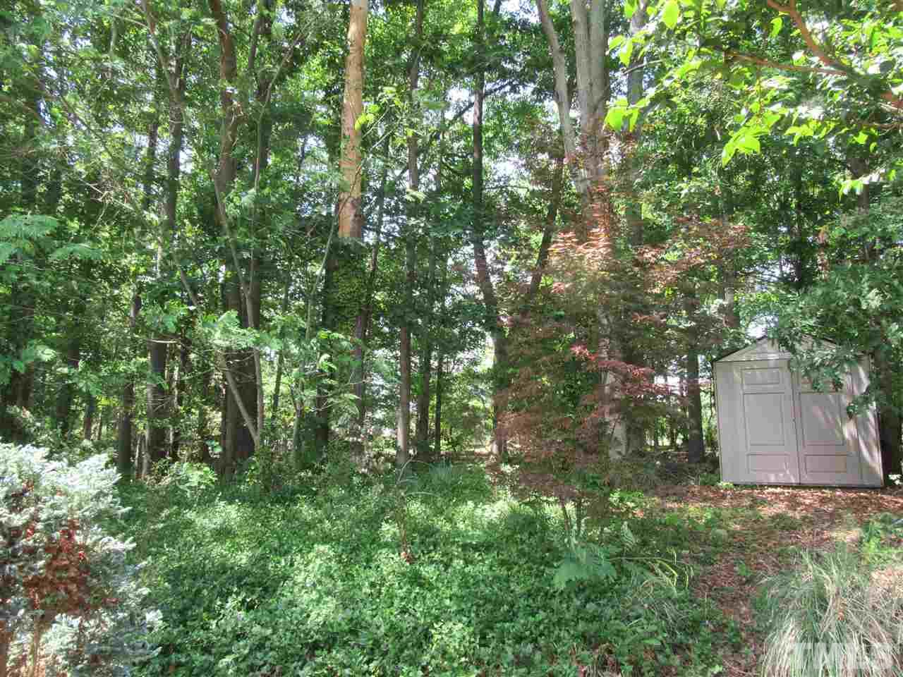 5113 Silverdene Street Raleigh, NC 27616 - Photo 25 of 25 a view of a house with a tree