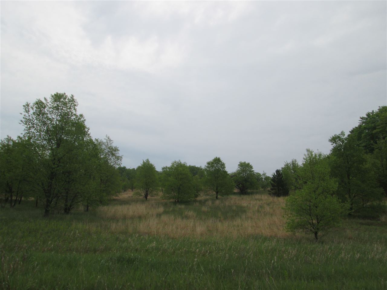 1800502.JPG