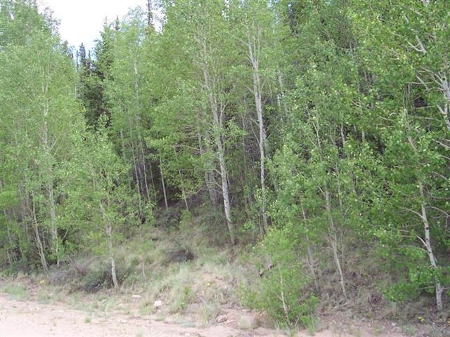 674 Swiggler Road Jefferson, CO 80456 - Photo 1 of 9 Gallery Image 1