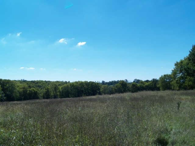 3 Old Tva Road Columbia, TN 38401 - Photo 11 of 18 Gallery Image 11