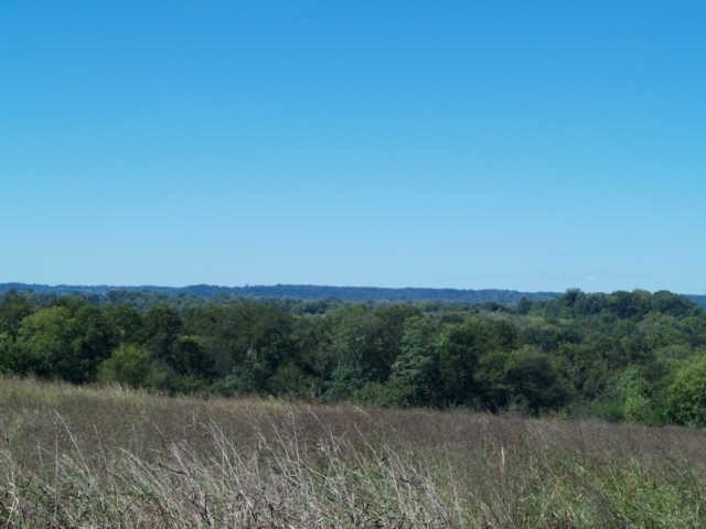 3 Old Tva Road Columbia, TN 38401 - Photo 13 of 18 Gallery Image 13