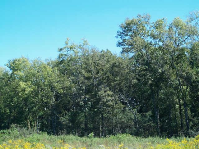 3 Old Tva Road Columbia, TN 38401 - Photo 16 of 18 Gallery Image 16
