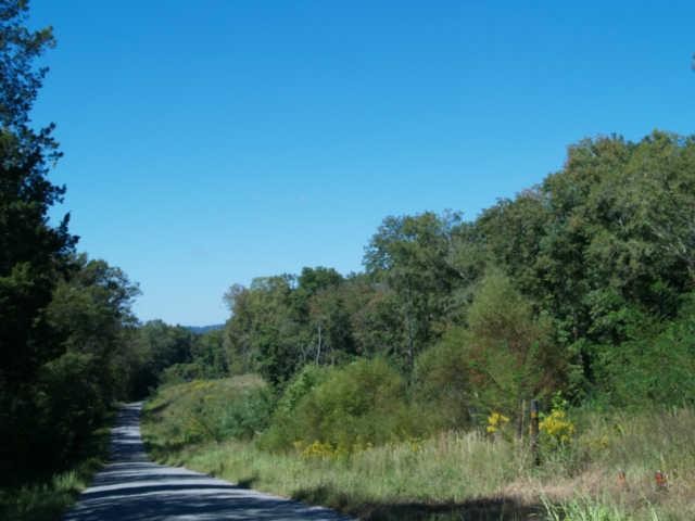 3 Old Tva Road Columbia, TN 38401 - Photo 17 of 18 Gallery Image 17