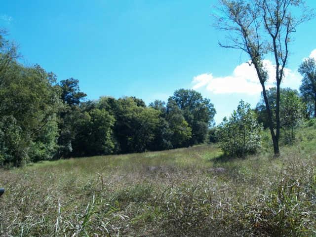 3 Old Tva Road Columbia, TN 38401 - Photo 6 of 18 Gallery Image 6