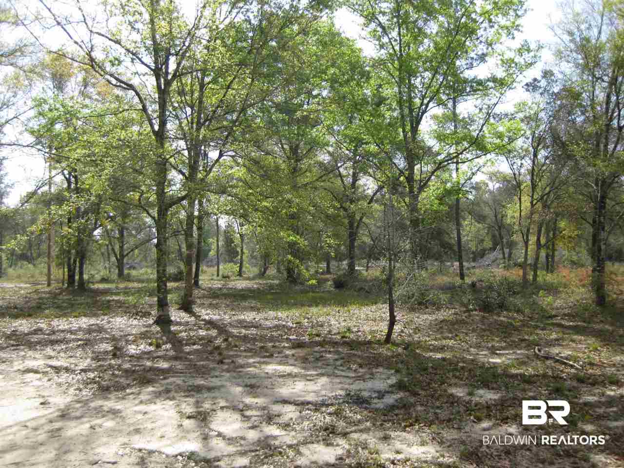 14131 County Road 9 Foley, AL 36535 - Photo 2 of 6