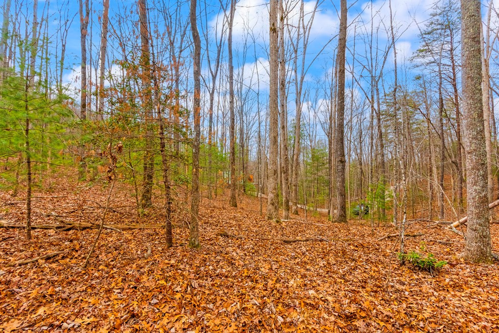 1.03-ac Guy Eller Road Murphy, NC 28906 - Photo 11 of 27