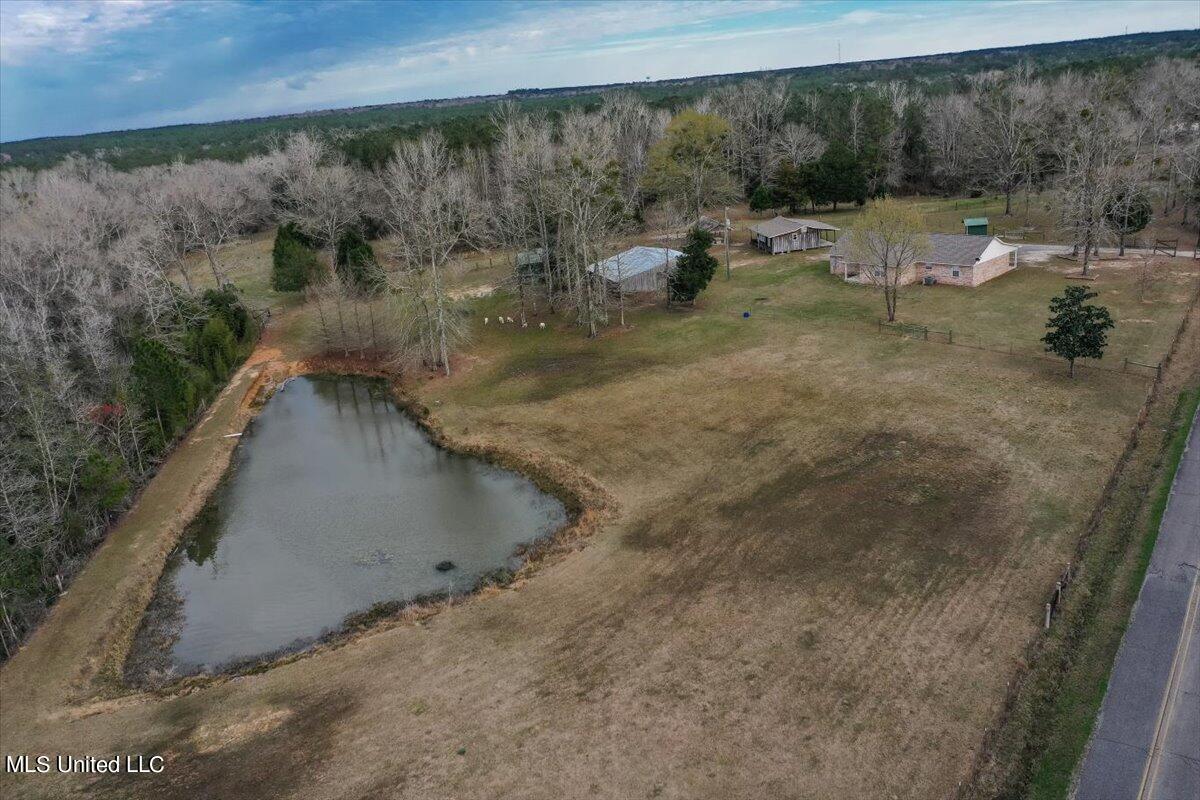 20034 Diamond Road Saucier, MS 39574 - Photo 3 of 45 40-Aerial View
