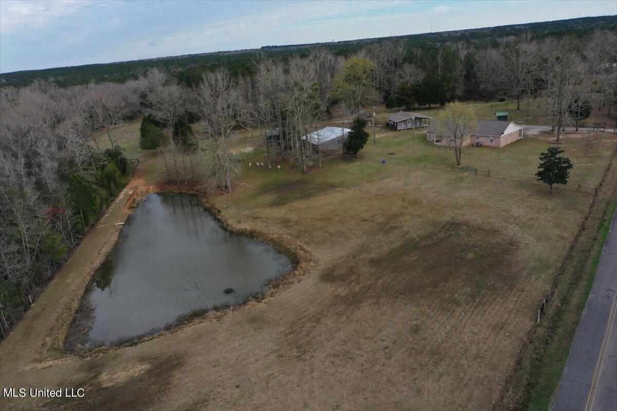 20034 Diamond Road Saucier, MS 39574 - Photo 43 of 45 44-Aerial View