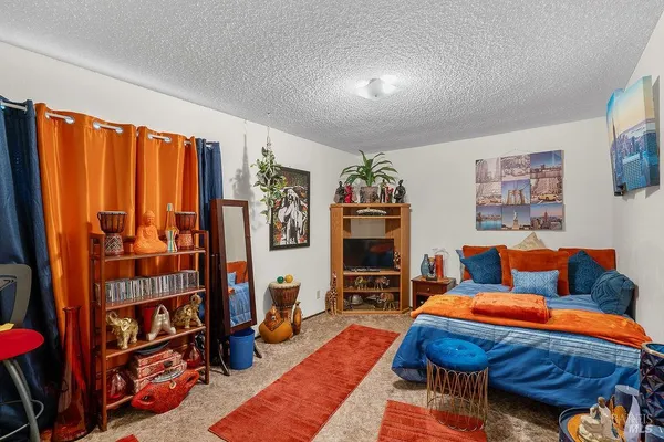 a living room with furniture a rug and a bookshelf