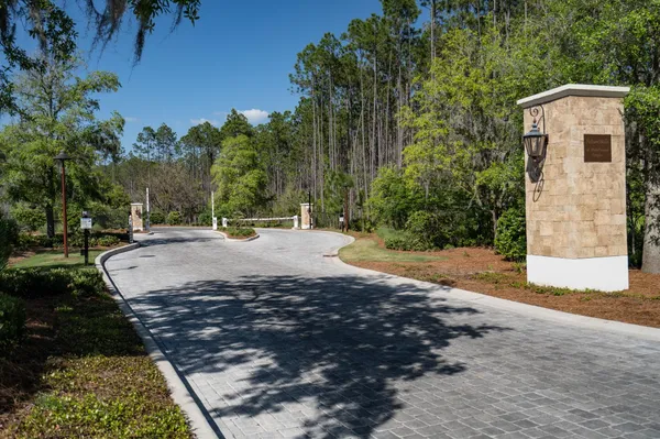 a view of a road with plants and trees