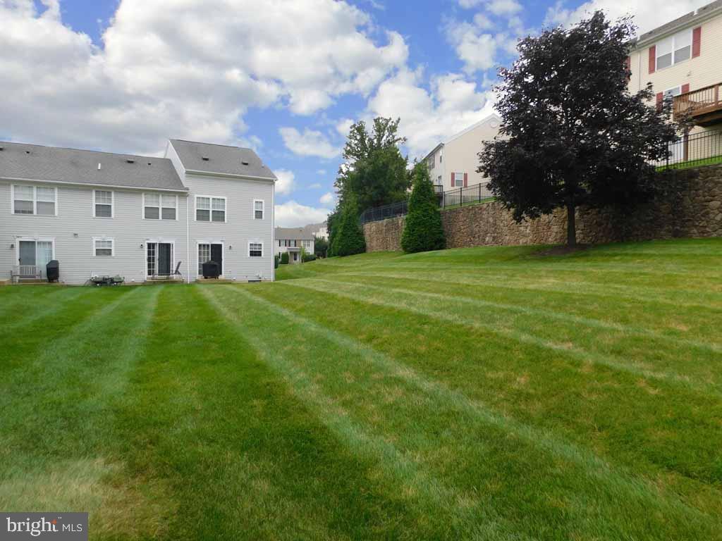 5469 Rinker Circle, Unit 299 Doylestown, PA 18902 - Photo 19 of 21 Back yard