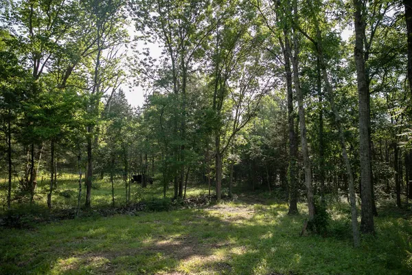 $1,250,000 | 2825 Oregon Road, Milton, TN 37118