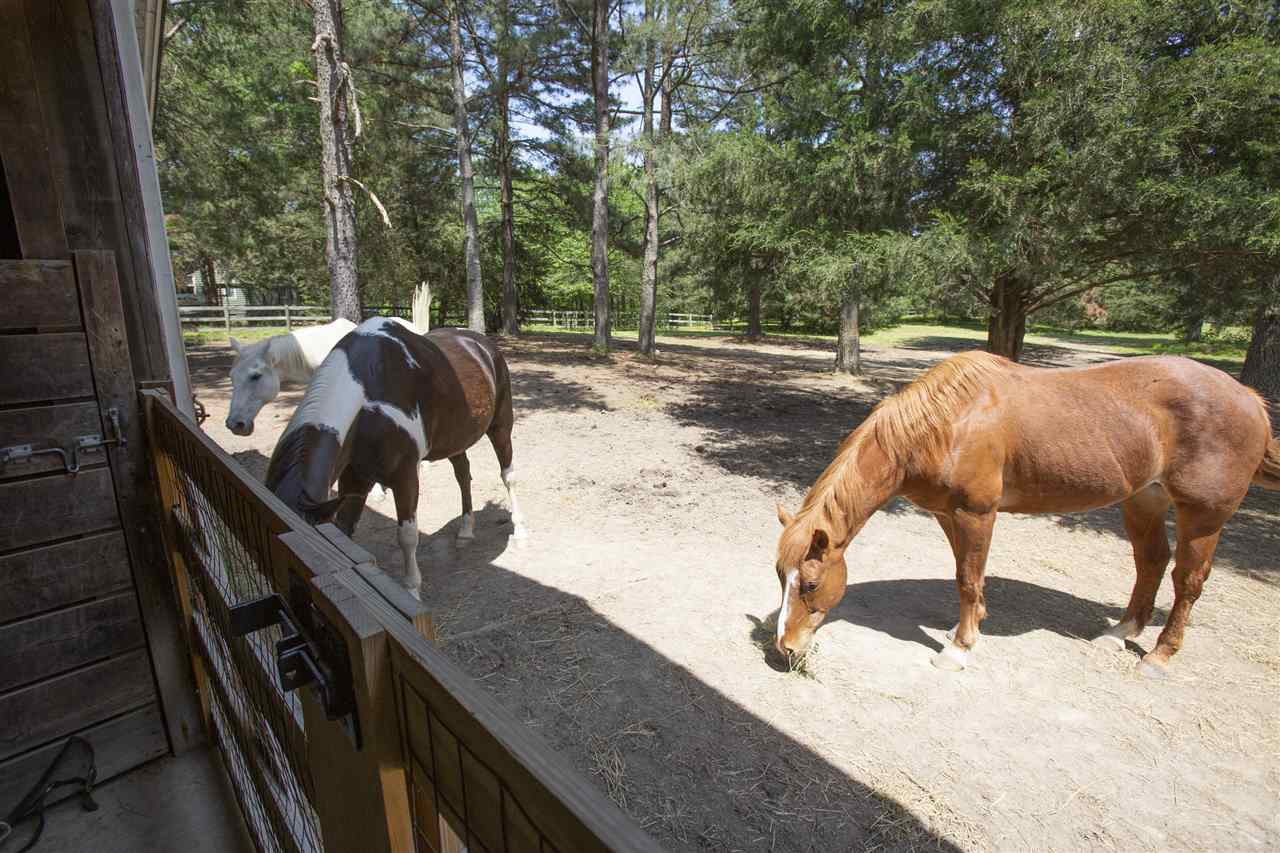 7306 Wiley Mangum Road Bahama, NC 27503 - Photo 25 of 30 Photo 25
