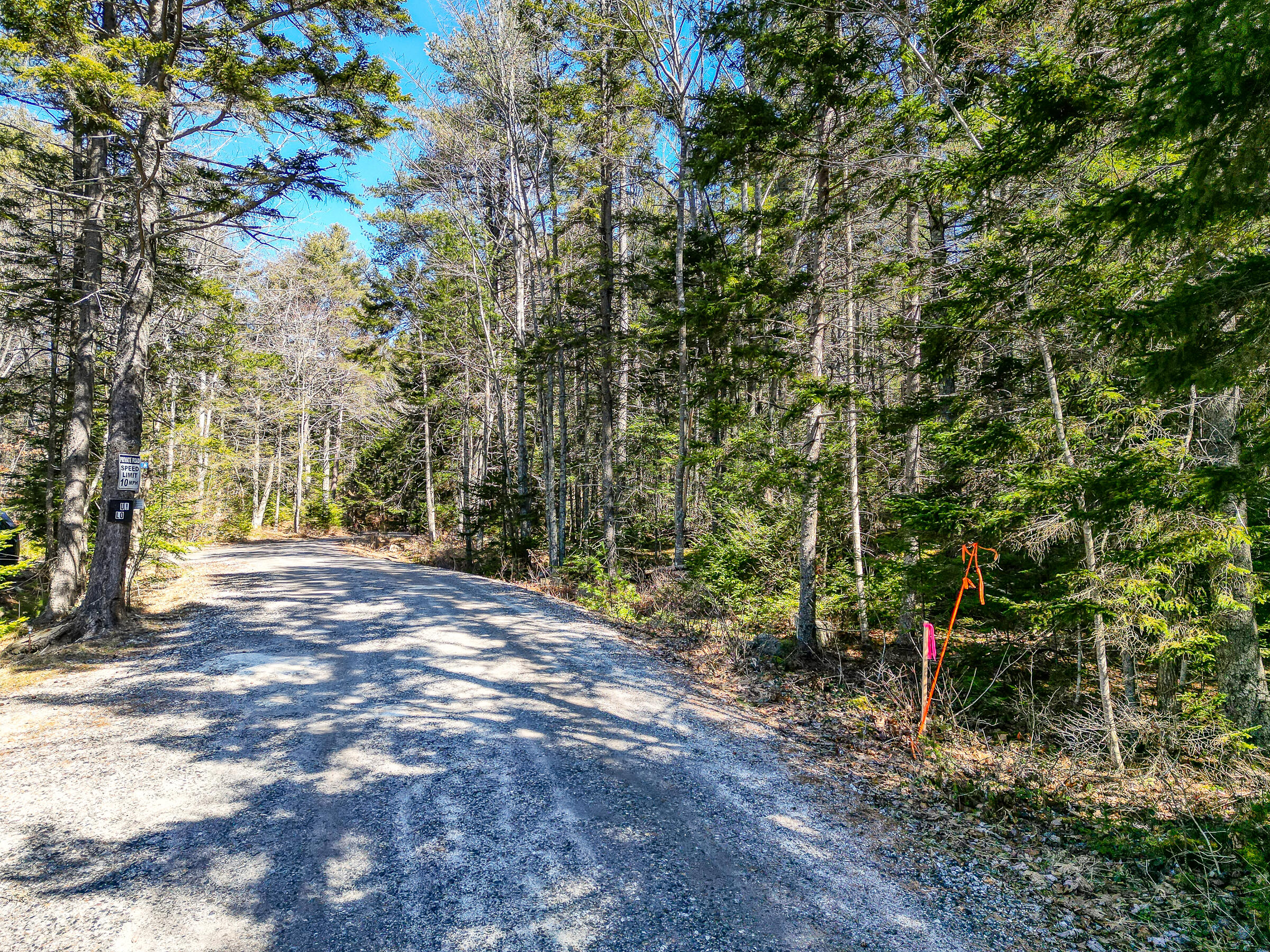 0 Fred Brigham Road Phippsburg, ME 04562 - Photo 11 of 22 Fred Brigham Road