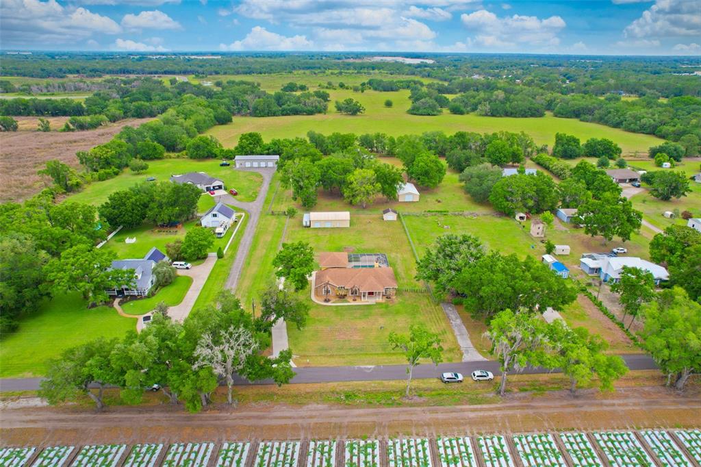 3418 Futch Road Plant City, FL 33566 - Photo 36 of 40