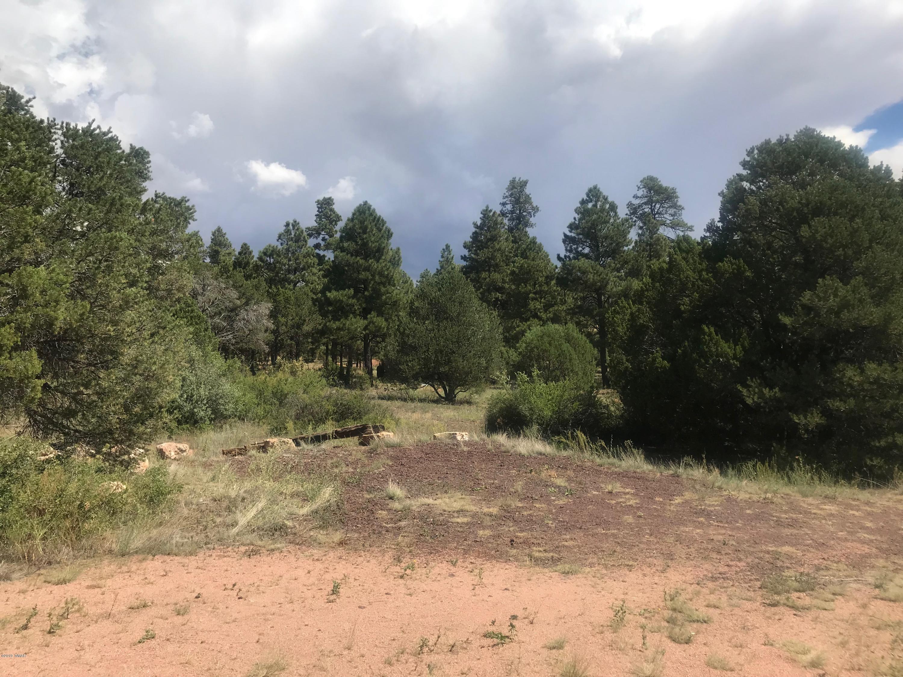 2808 Markham Road Overgaard, AZ 85933 - Photo 11 of 13