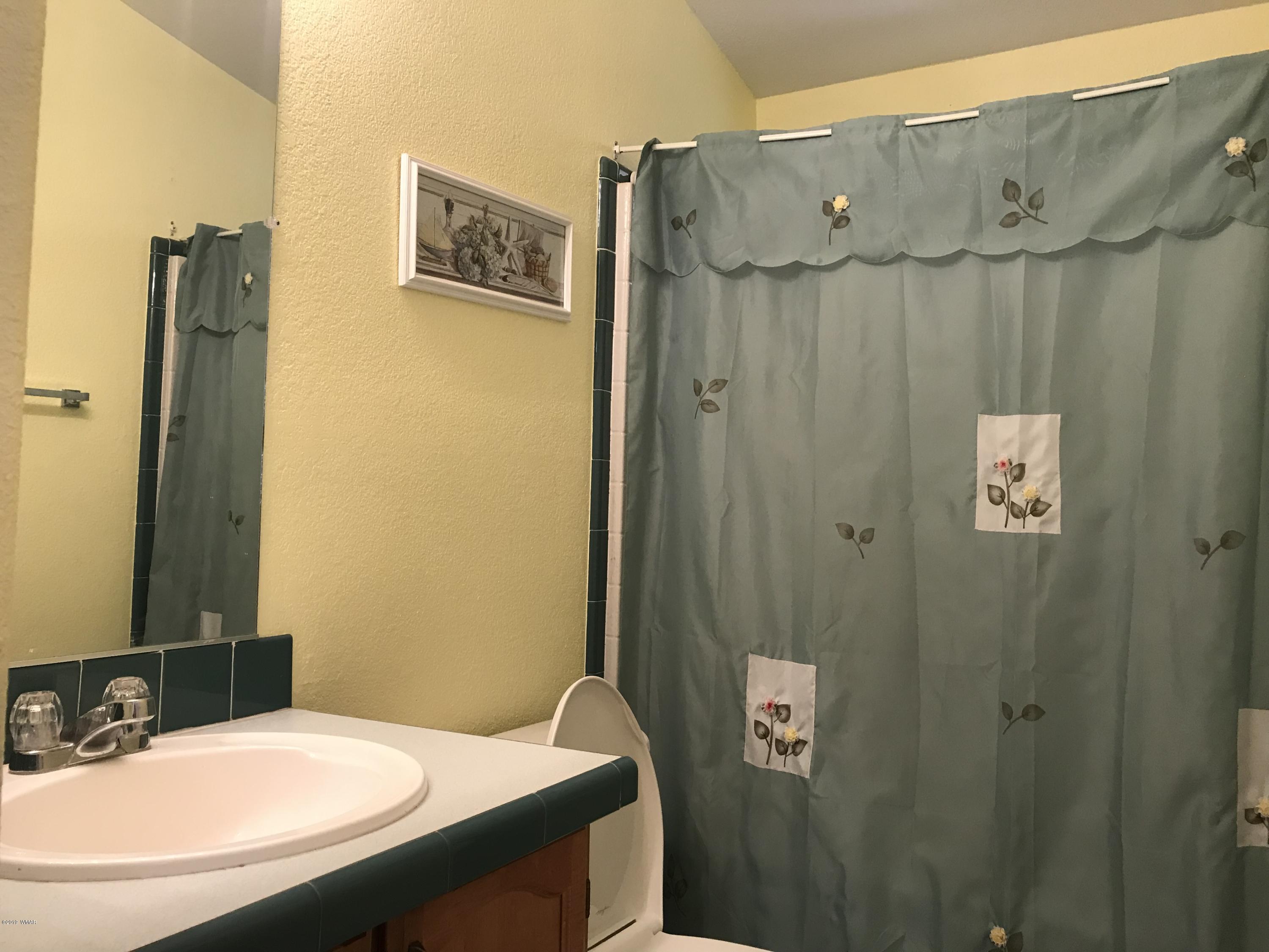 2808 Markham Road Overgaard, AZ 85933 - Photo 7 of 13
