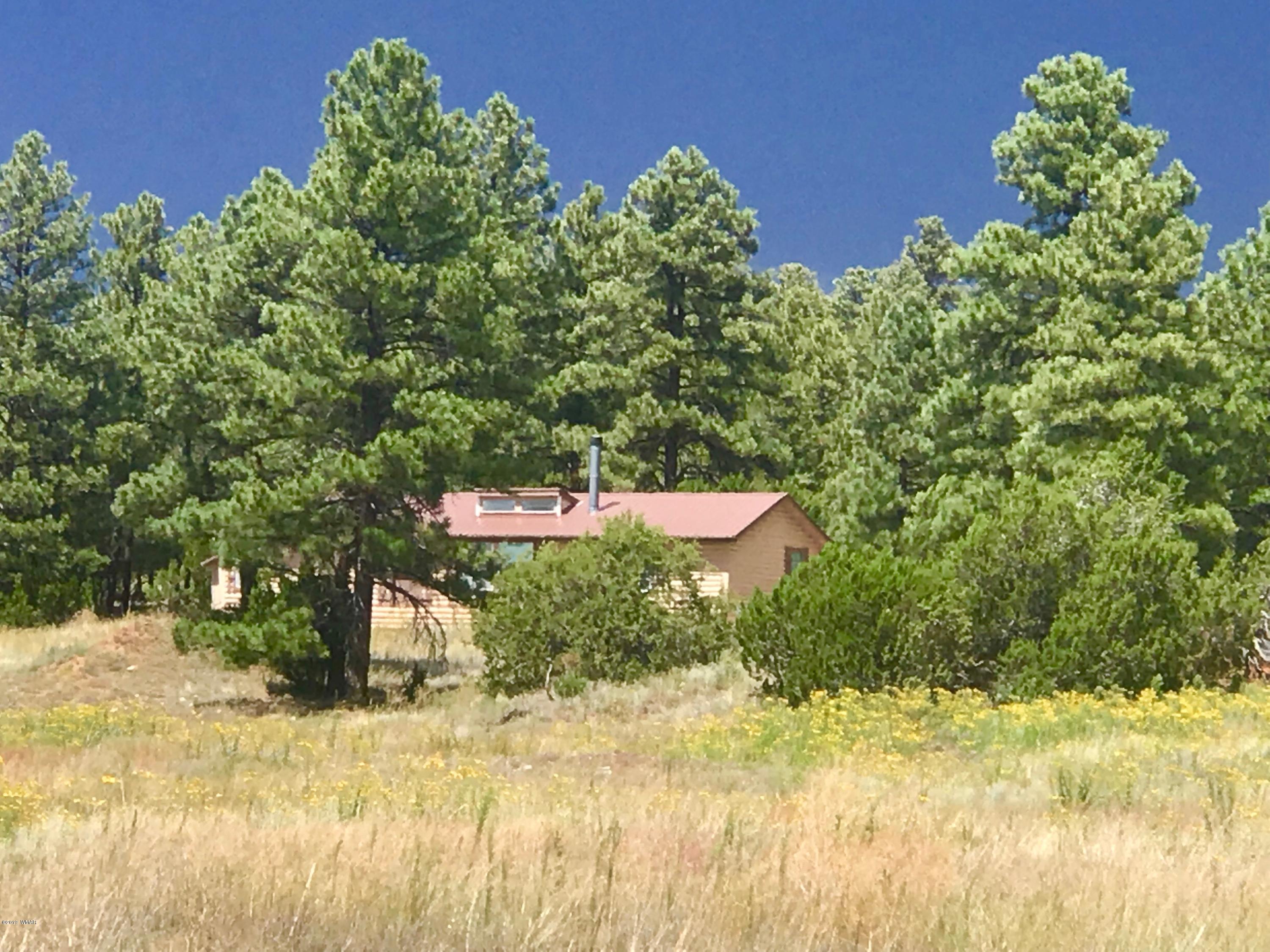 2808 Markham Road Overgaard, AZ 85933 - Photo 8 of 13