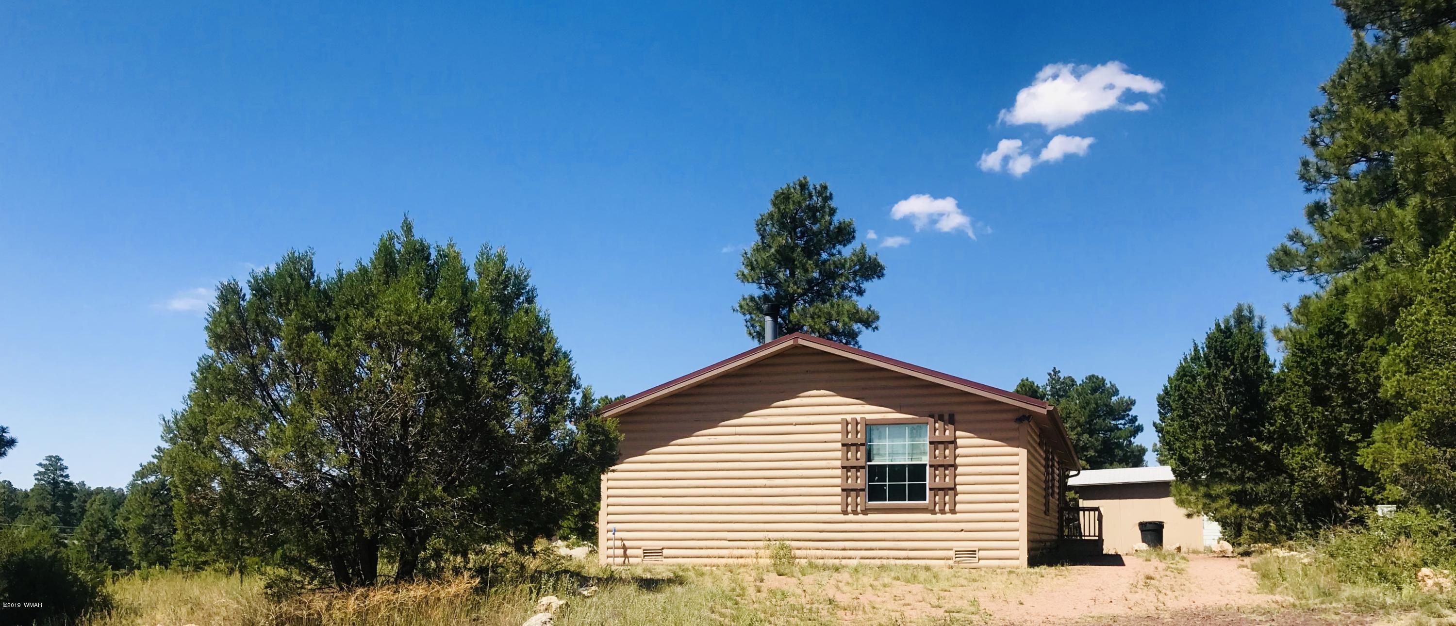2808 Markham Road Overgaard, AZ 85933 - Photo 9 of 13