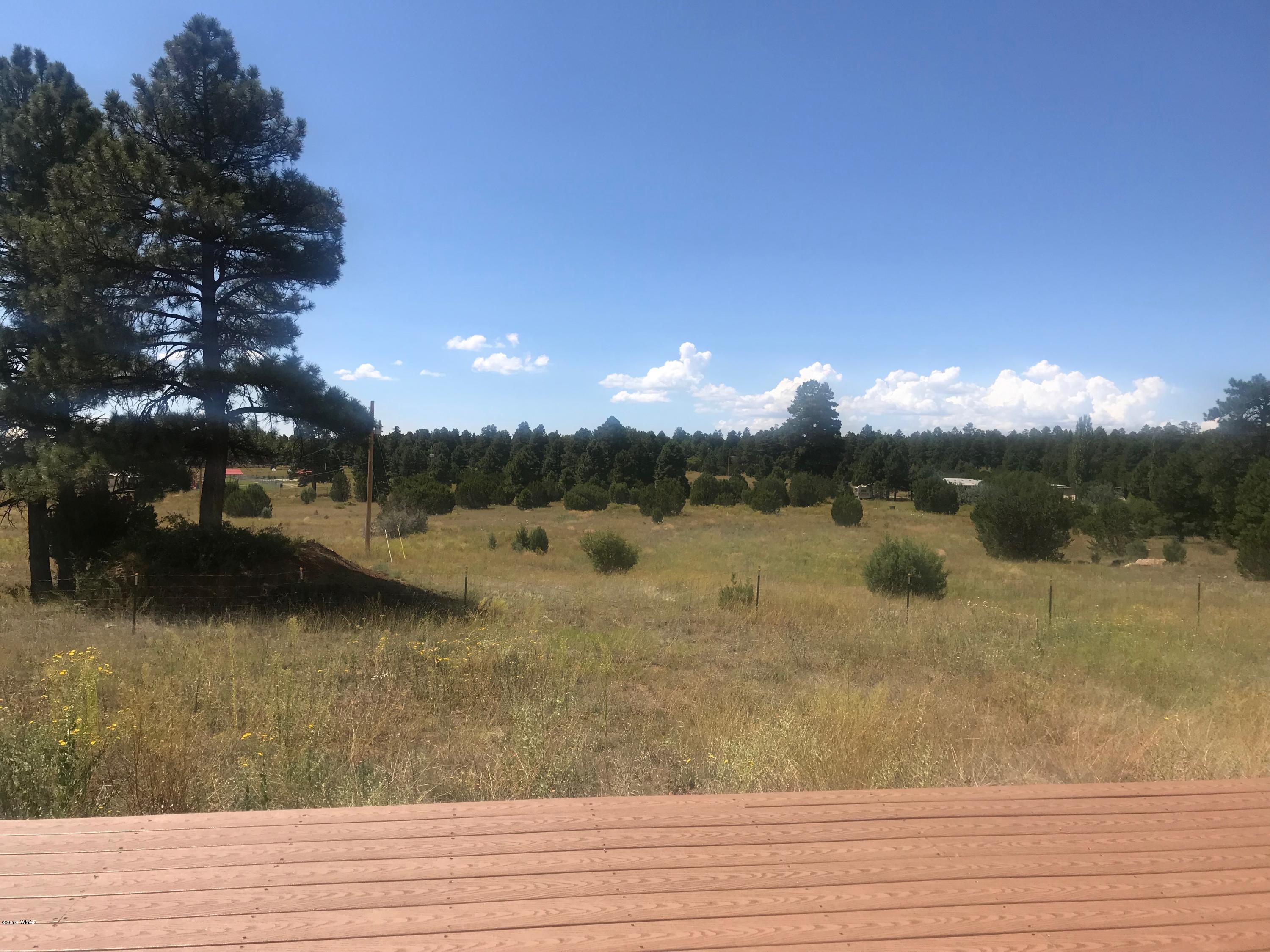 2808 Markham Road Overgaard, AZ 85933 - Photo 10 of 13