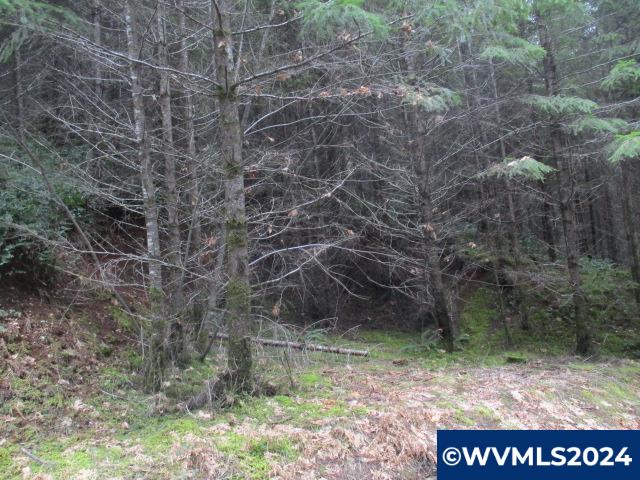 0 Quartzville Road Cascadia, OR 97329 - Photo 3 of 10