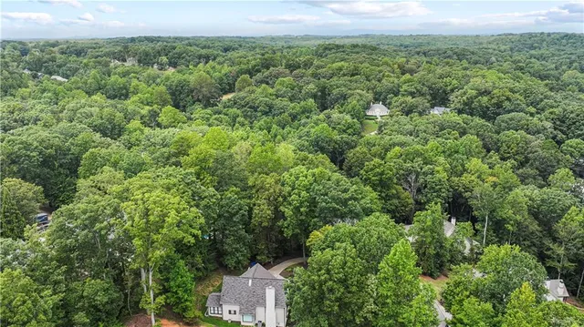a view of a city with lush green forest