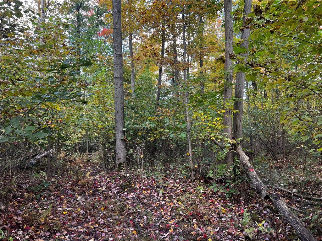Topper Road Jefferson, OH 44047 - Photo 24 of 35