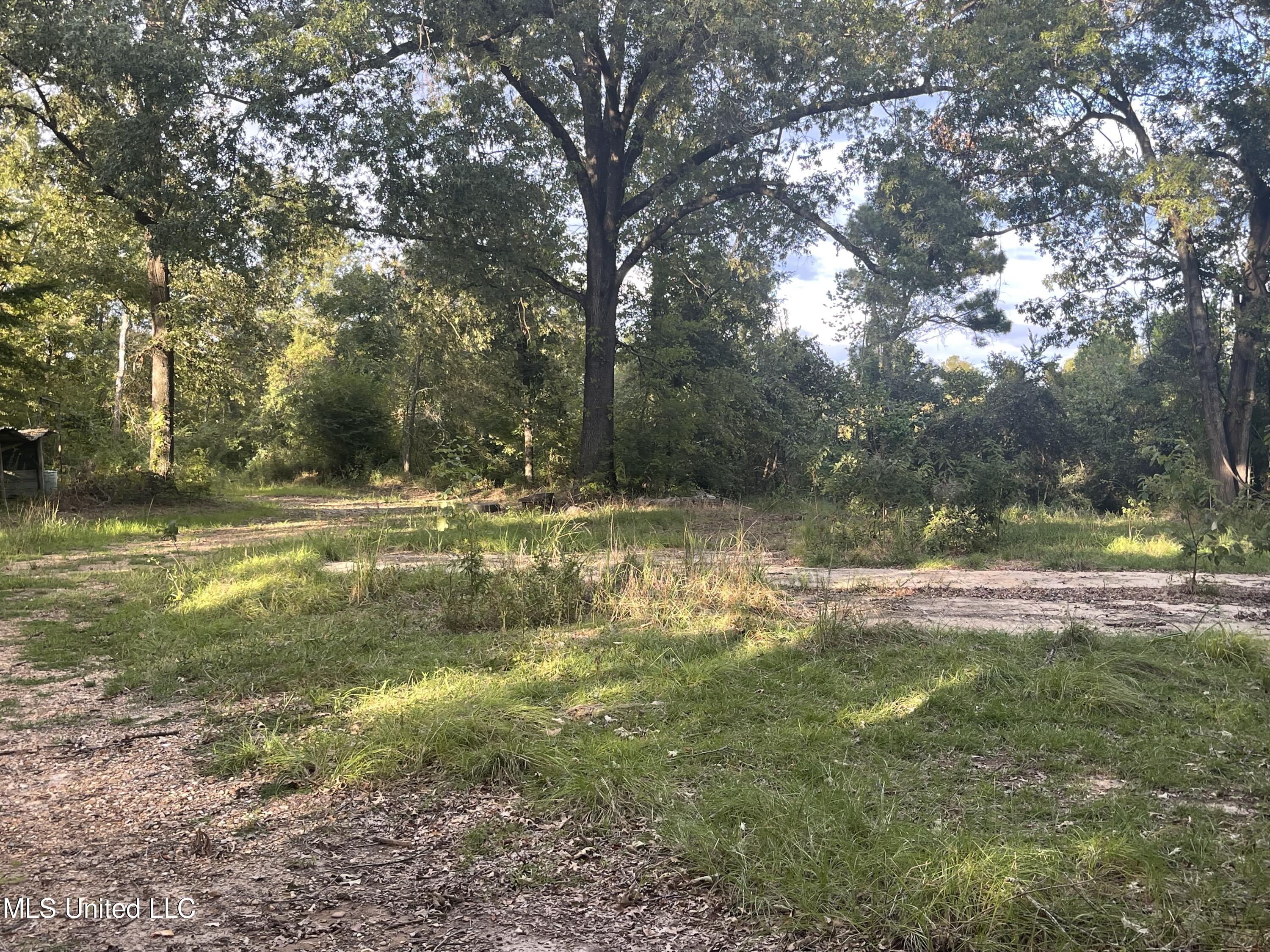 Belva Drive Vicksburg, MS 39180 - Photo 2 of 2 IMG_1602