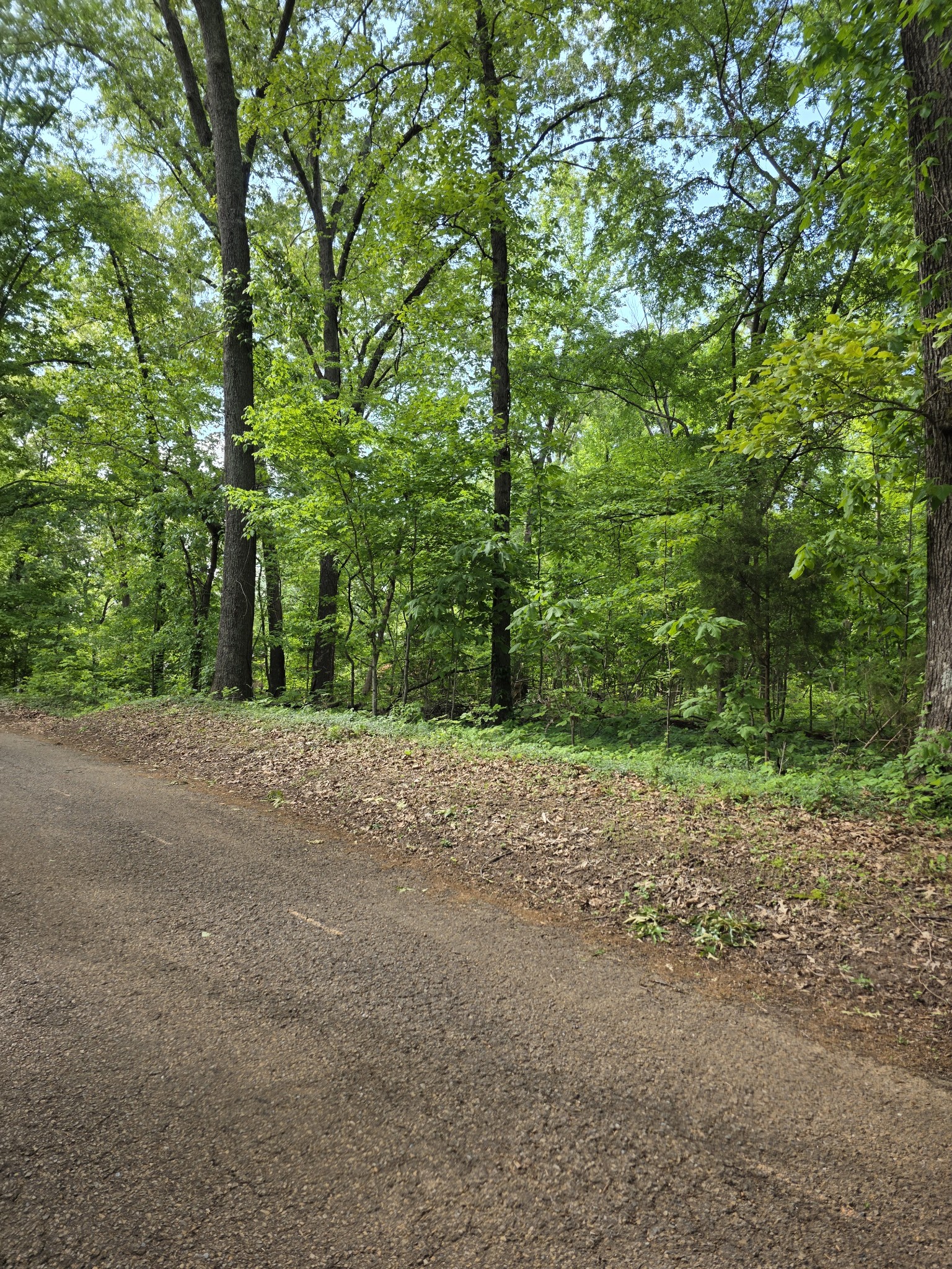 0 Arkadelphia Road Clarksville, TN 37040 - Photo 1 of 7 Gallery Image 1