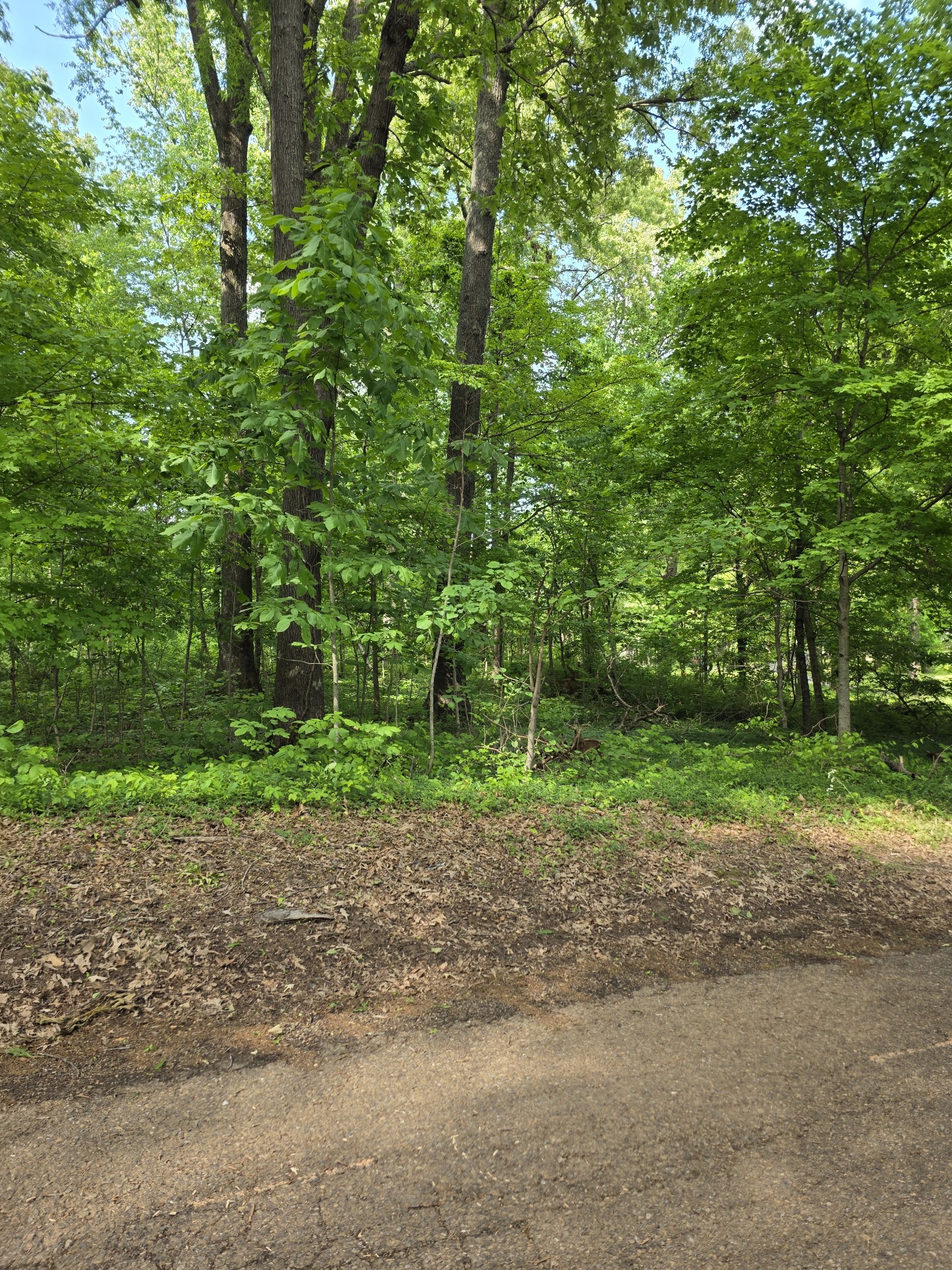 0 Arkadelphia Road Clarksville, TN 37040 - Photo 2 of 7 Gallery Image 2