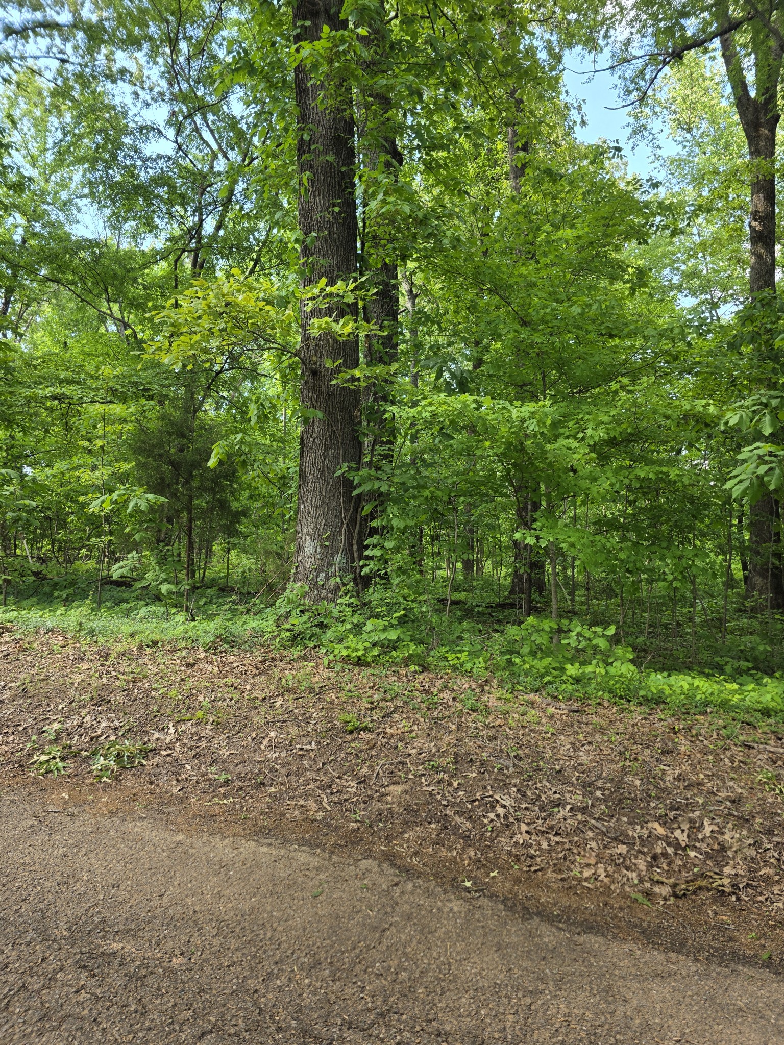 0 Arkadelphia Road Clarksville, TN 37040 - Photo 3 of 7 Gallery Image 3