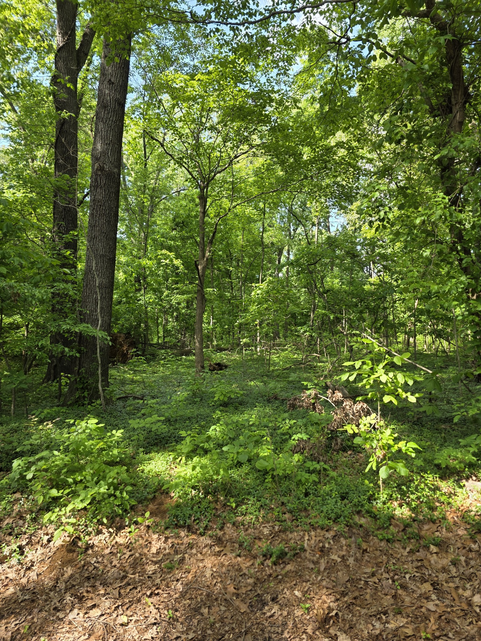 0 Arkadelphia Road Clarksville, TN 37040 - Photo 4 of 7 Gallery Image 4