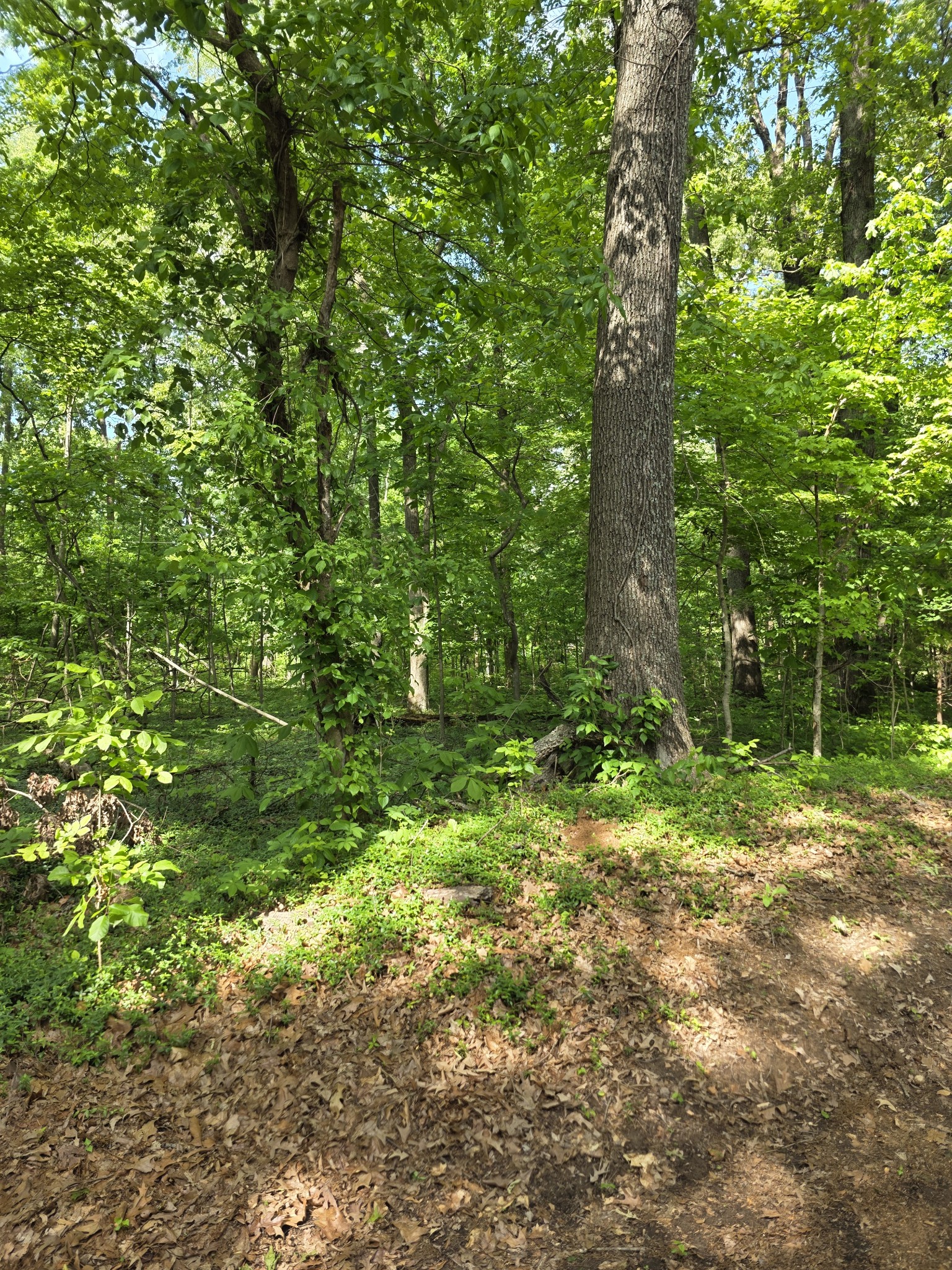 0 Arkadelphia Road Clarksville, TN 37040 - Photo 5 of 7 Gallery Image 5