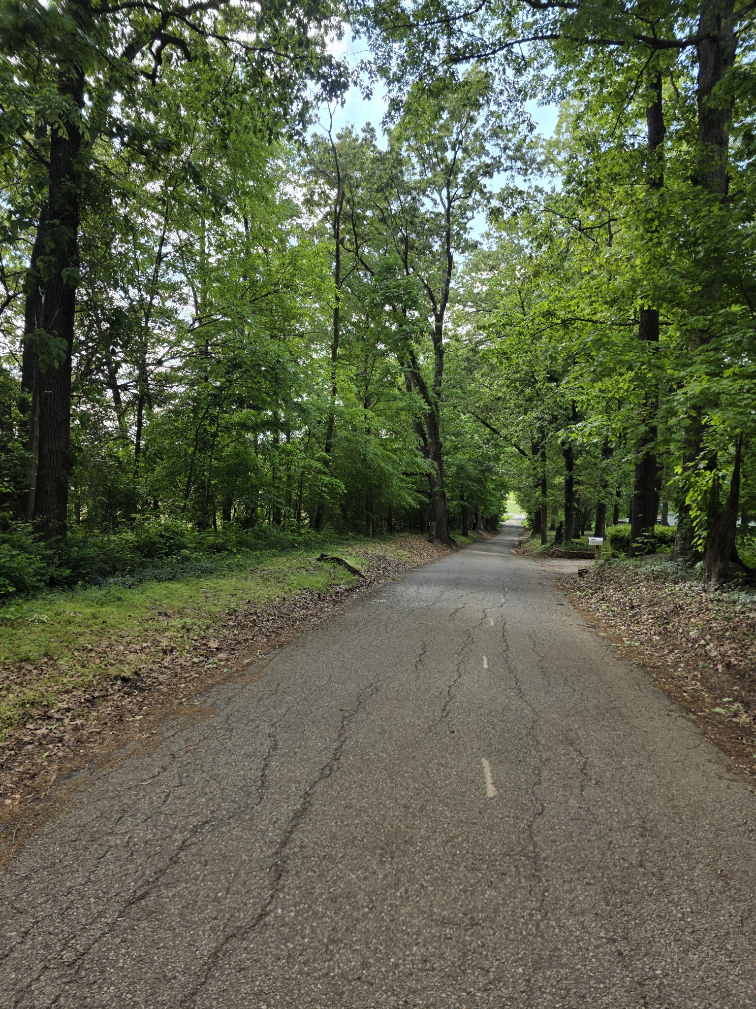 0 Arkadelphia Road Clarksville, TN 37040 - Photo 6 of 7 Gallery Image 6