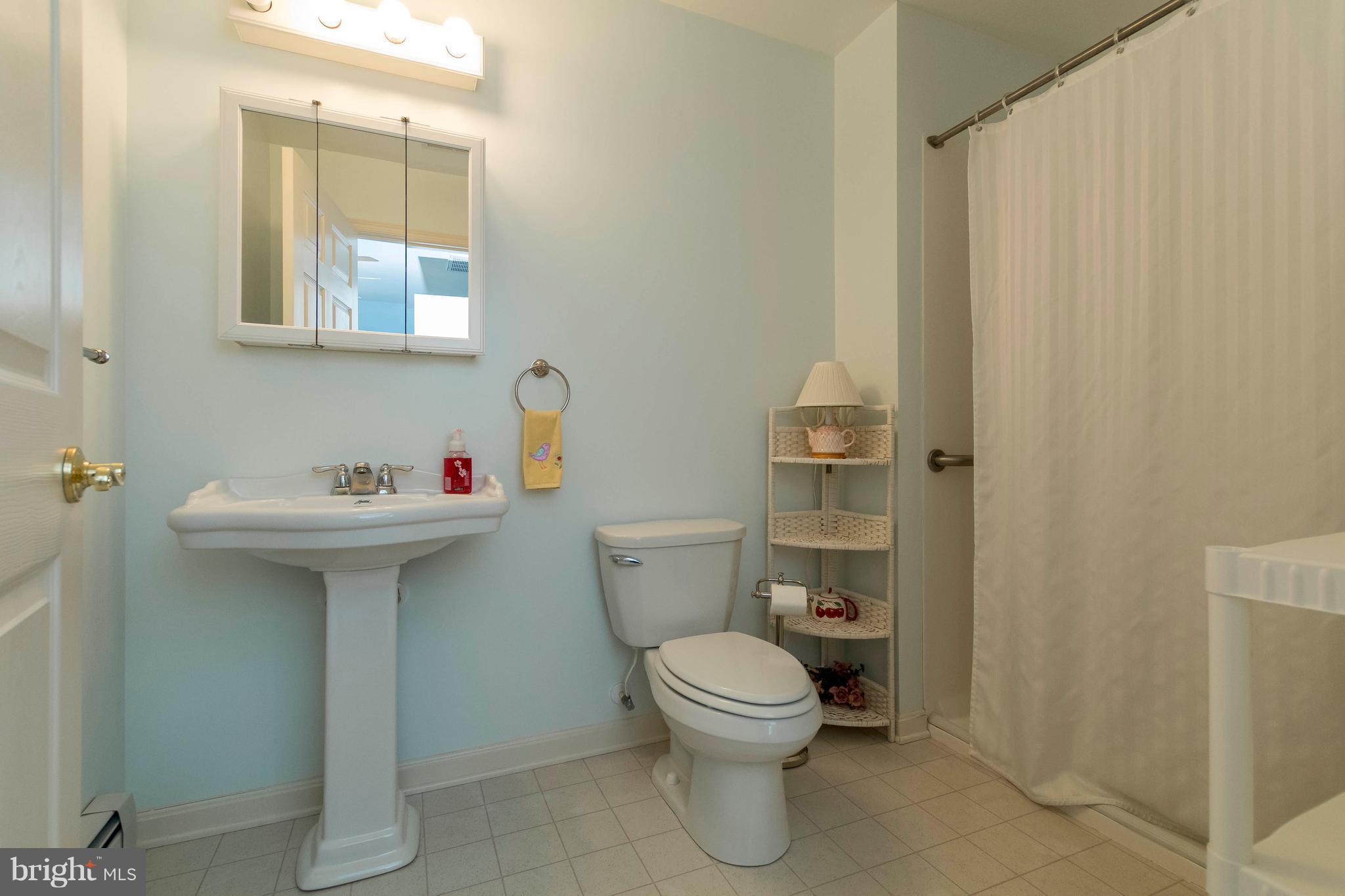 14633 Old Hanover Road Reisterstown, MD 21136 - Photo 21 of 28 Bath (Master)