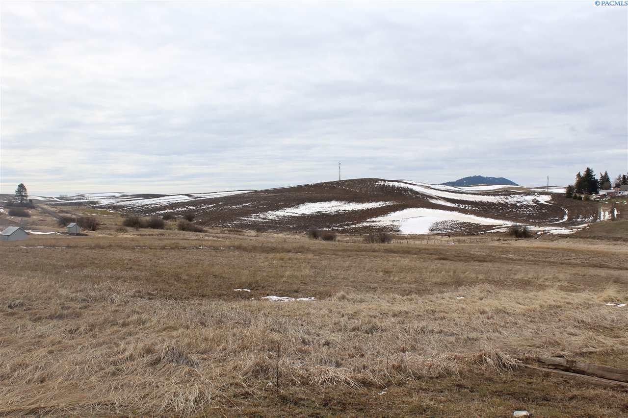 Xxx Palouse Cove Road Palouse, WA 99161 - Photo 1 of 1 Gallery Image 1