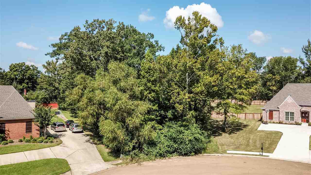 0 Dunleith Way, Unit 7 Clinton, MS 39056 - Photo 1 of 3 Photo 1