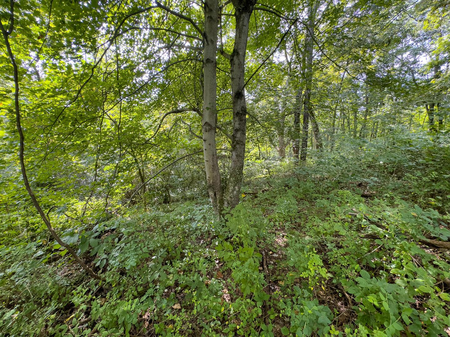 0 East Sand Ridge Road, Unit 338 Albany, OH 45710 - Photo 23 of 30 23-0 Sand Ridge Rd Ground-17